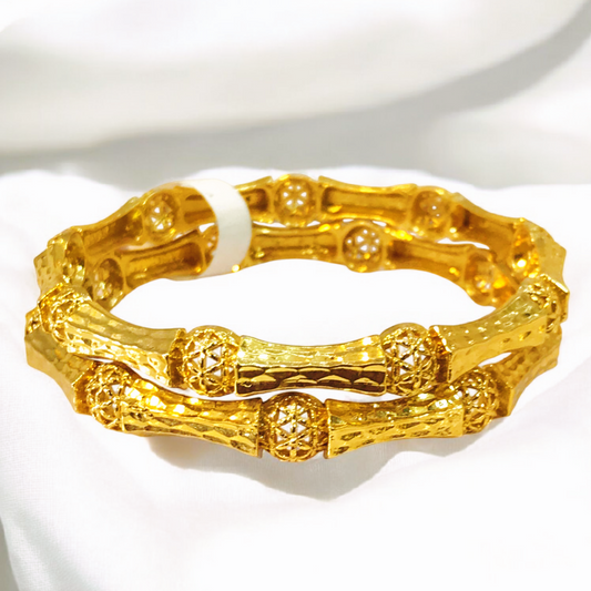 Elegant Design Gold Plated 2pc Bangles Set