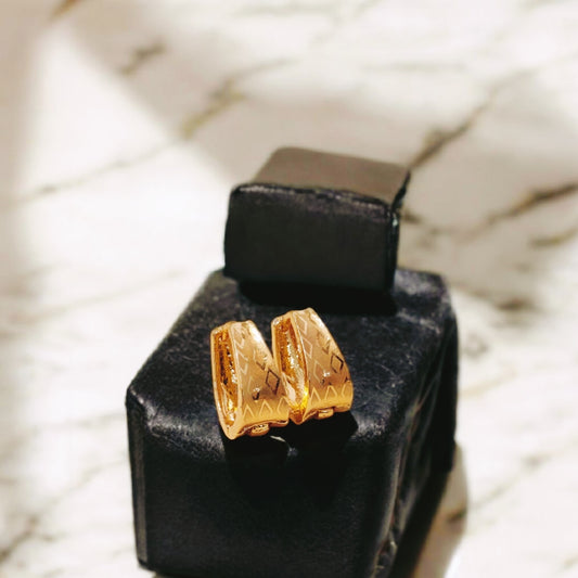 Elegant Design Gold Plated Earring